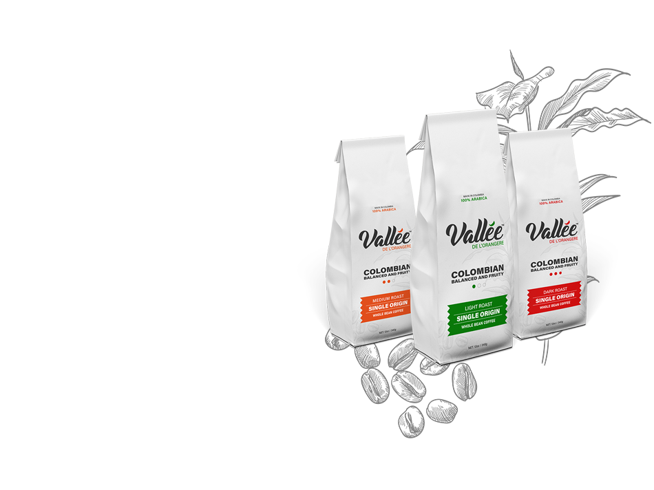 Vallée Verte Coffee Branding & Packaging Design